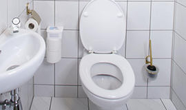 Toilet area / toilet / toilet seat / bidet