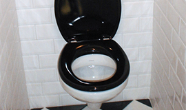 Toilet / toilet seat / bidet